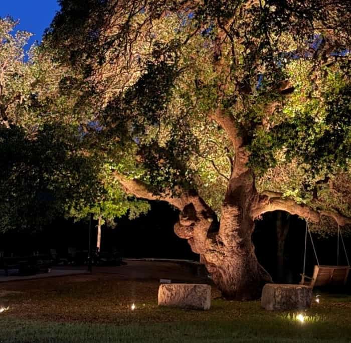 Commercial Landscape Lighting near me 03 Large oak tree illuminated by outdoor lighting at night. Cozy backyard scene with stone benches and a swing, showcasing a warm and inviting "Home" atmosphere.