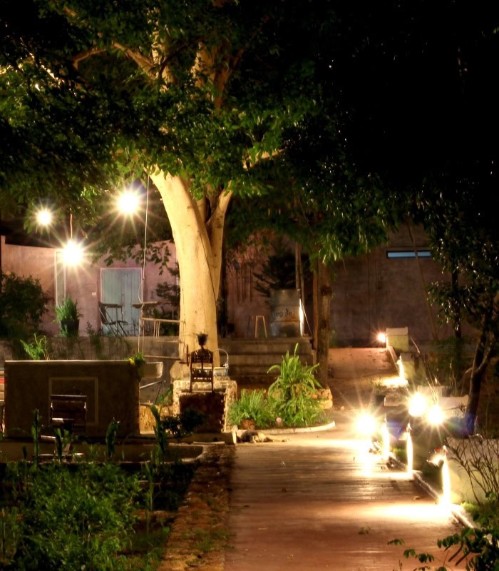 Commercial Landscape Lighting near me 14 Night scene showcasing commercial landscape lighting illuminating a walkway lined with lush greenery and a large tree, enhancing the outdoor space. Pressure washing may be needed to keep the area pristine.
