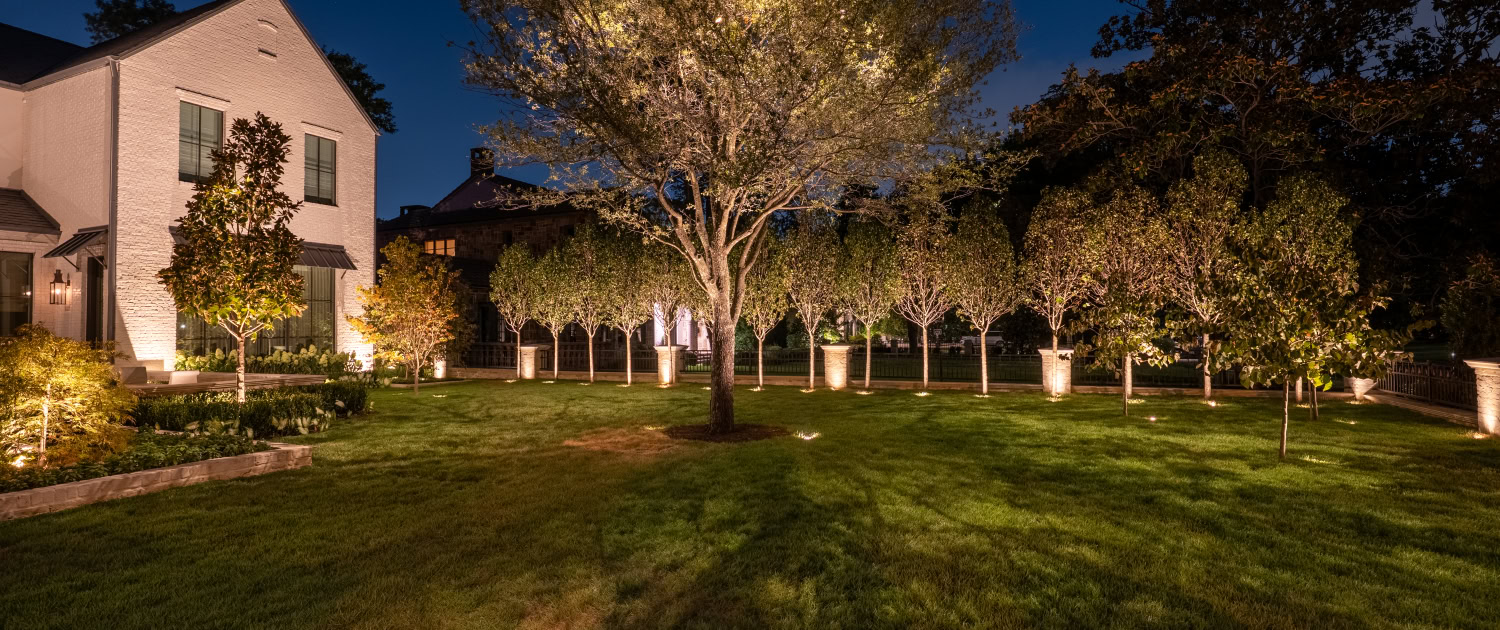 Outdoor Landscape Lighting at Night Beautifully illuminated backyard with trees and lawn, showcasing outdoor lighting design by Lumos Outdoor Lighting.