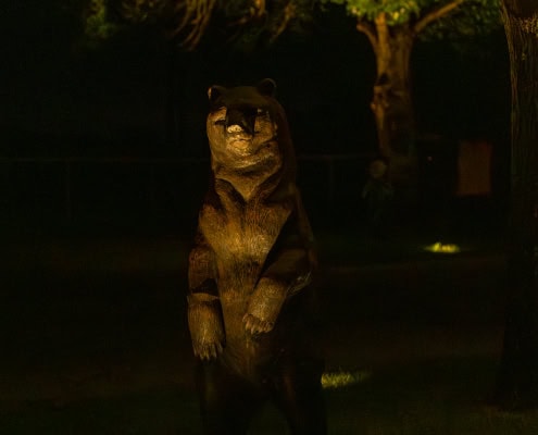 Nighttime outdoor scene with illuminated bear sculpture and landscape lighting highlighting trees and ground features.