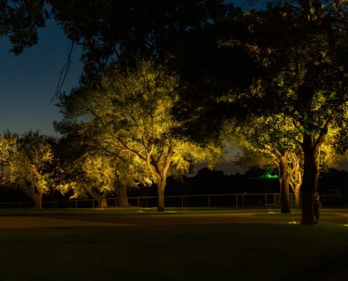 Illuminated trees in a park at night showcasing outdoor lighting solutions by Lumos Outdoor Lighting.