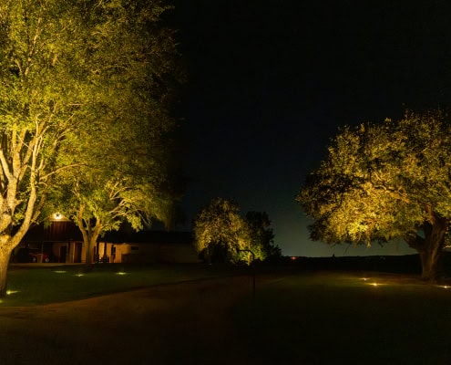 Nighttime outdoor lighting illuminating trees and landscape with warm LED lights for enhanced curb appeal and safety.