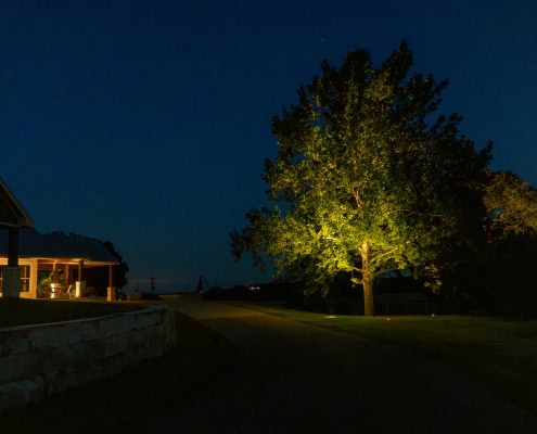 Illuminated tree and house exterior with outdoor lighting at night, showcasing Lumos Outdoor Lighting products for landscape enhancement.