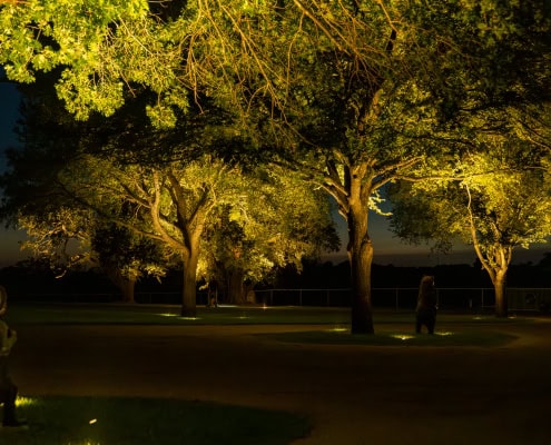 Illuminated trees and pathway with outdoor lighting by Lumos Outdoor Lighting at night.