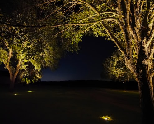Nighttime outdoor landscape illuminated by Lumos outdoor lighting, showcasing trees and pathway lighting for enhanced safety and aesthetic appeal.