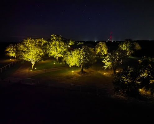 Night view of outdoor landscape illuminated by Lumos outdoor lighting, highlighting trees and pathways for enhanced safety and aesthetics.
